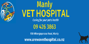 Manly Vet Hospital